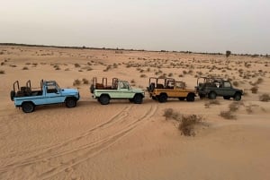 Heritage Safari, kameltur og Al Marmoom Oasis-middag