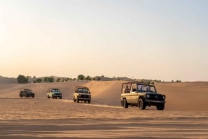 Dubai: Heritage Safari, Camel Ride & Al Marmoom Oasis Dinner
