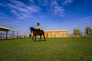 Дубай: Опыт верховой езды в лагере Al Khayma Camp