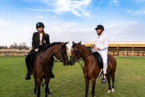 Dubaï : Randonnée à cheval avec Al Marmoom Oasis Activities