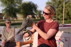 Dubaï : Randonnée à cheval avec Al Marmoom Oasis Activities