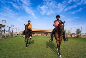 Dubai: Al Marmoom Oasis Activities -järjestön kanssa ratsastaminen