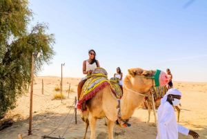 Dubaï : Randonnée à cheval avec Al Marmoom Oasis Activities