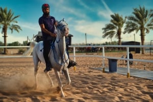 Dubaï : Montgolfière, balade à dos de chameau, safari dans le désert, etc.