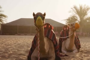 Dubaj: Balon na ogrzane powietrze, pustynne safari i wycieczka quadem