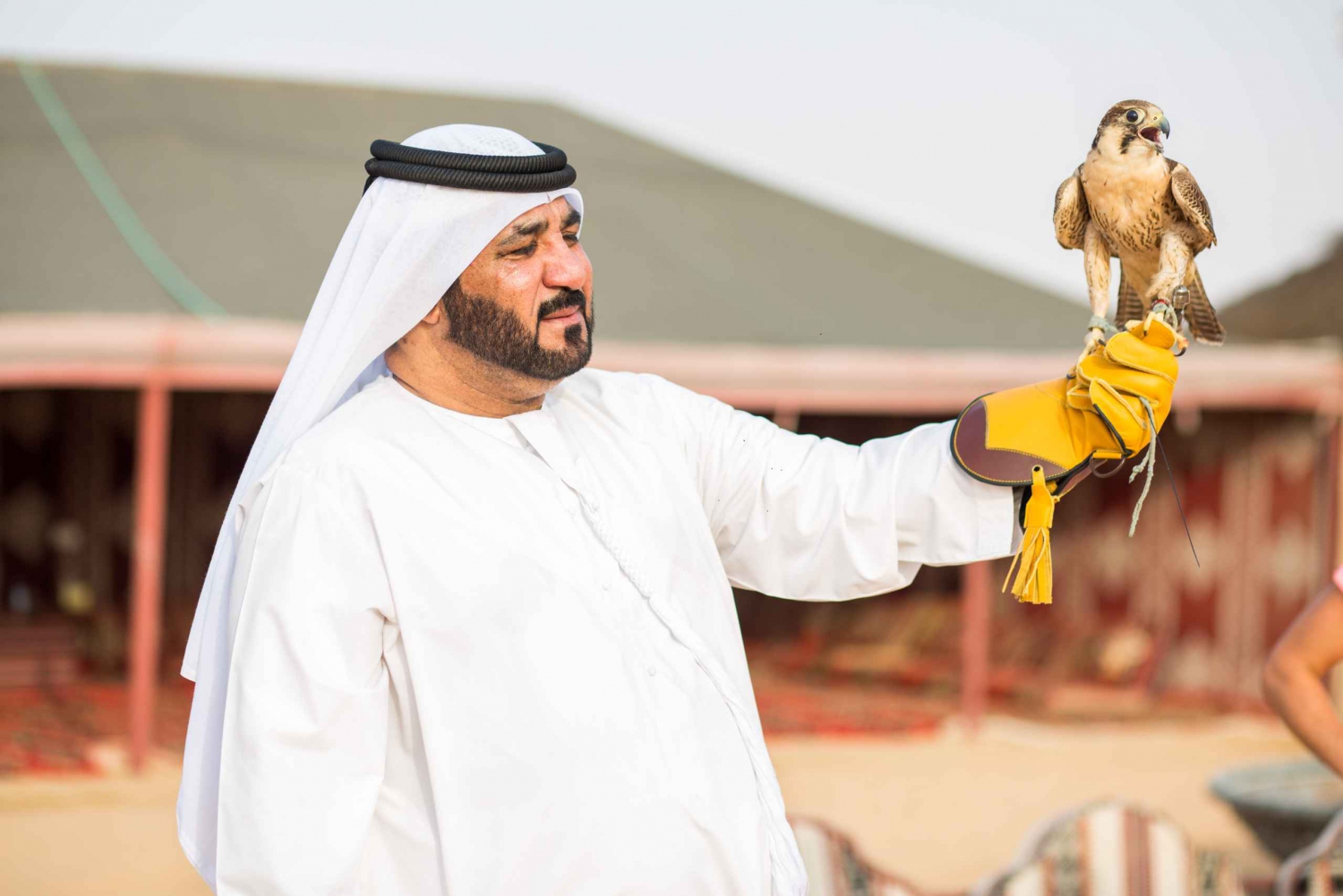 Dubai: Hot Air Balloon, Desert Safari, Quad Biking, and More