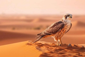 Dubaï : Vol en montgolfière avec transfert en 4x4