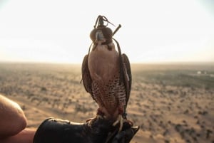 Dubai: Luchtballonvaart met ATV, kameel & paardrijden