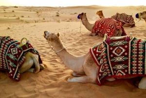 Dubai: ATV-, kameli- ja hevosratsastuksen kanssa.