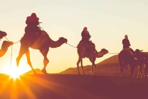 Dubai: Varmluftballonflyvning med ATV, kamel- og hesteridning