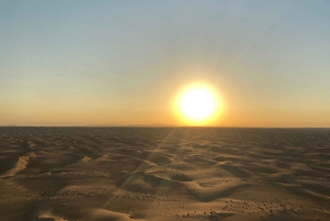 Dubai: Giro in mongolfiera e spettacolo di falchi sopra il deserto