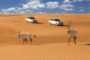 Dubai: Hot Air Balloon Flight with ATV, Camel & Horse Riding