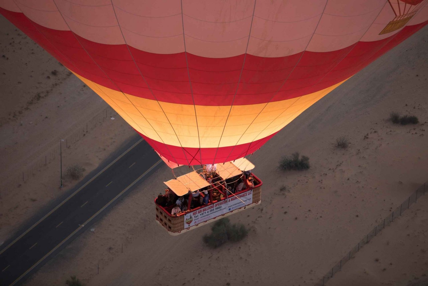 Dubaï : Balade en montgolfière à dos de chameau et spectacle de faucons