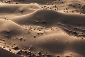 Dubai: Kuumailmapalloajelu, kameliratsastus ja haukkanäytös.