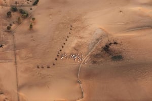 Dubai: Luchtballonvaart met kamelentocht & valkenshow