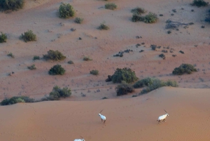 Dubai: Kuumailmapallolento, kuljetus ja virvokkeet