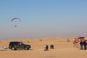 Dubai: Hot Air Balloon Tour with In-Flight Falcon Show