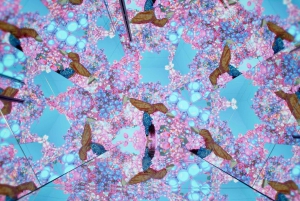 House of Hype Vackert uppslukande underland – DUBAI MALL