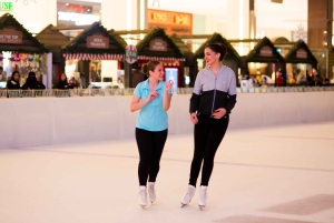 Lodowisko w Dubaju: Bilet wstępu