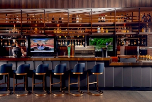 Dubai: International Airport Departures Premium Lounge Entry