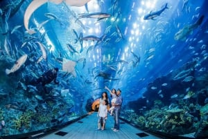 Dubaï : pass attractions iVenture Card