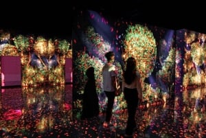 Дубай: карта iVenture, абонемент на аттракционы Dubai Flexi