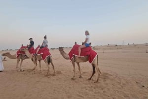 Dubai Jeep Wrangler Sunset Desert Experience & Sandboarding