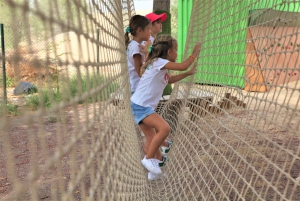 Dubai: Kids Circuit at Adventura Park