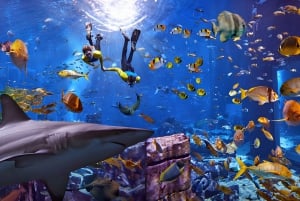 Dubai: Lost Chambers Aquarium og Palm Monorail-billett og SIM-kort