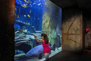Dubai: Chambers Aquarium pääsylippu
