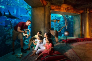 Dubai: Lost World Aquarium Atlantis dykkeopplevelse