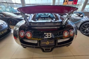 Dubai: Luxusauto-Showroom-Tour mit Rückfahrt zur Dubai Mall