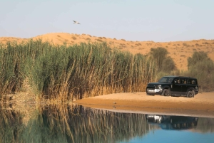 Dubaj: luksusowe safari z 4-daniową kolacją przygotowaną przez szefa kuchni z gwiazdką Michelin