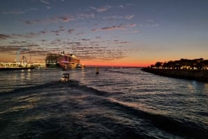 Dubai: Crucero turístico de lujo con comida y bebida