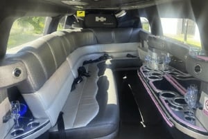 Dubai: Luksuriøs VIP-tur i stretchlimousine med privat sjåfør