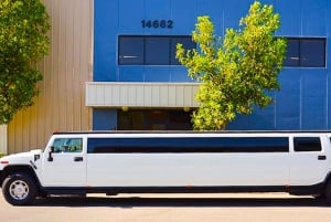 Dubai: Luksuriøs VIP-tur i stretchlimousine med privat sjåfør