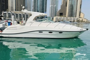 Dubai Marina: 2-timmars tur med minijacht