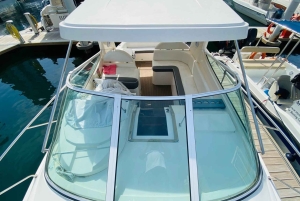 Dubai Marina: 2-timmars tur med minijacht