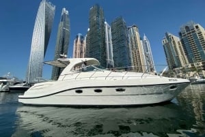 Dubai Marina: 2-timmars tur med minijacht