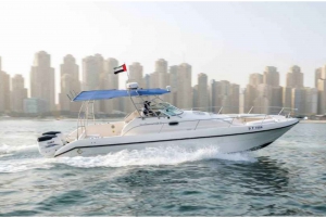 Dubai Marina: 34ft Boat Ride (Capacity : 10 Guest)