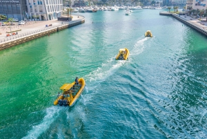 Dubai Marina: Guided Sightseeing Tour by Speedboat
