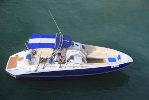 Dubai: Marina Private Boat Tour & Palm Jumeirah Sightseeing
