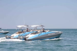 Dubai: Jumeirahin nähtävyyksien kiertoajelu: Marina Private Boat Tour & Palm Jumeirah Sightseeing