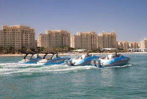 Dubai: Jumeirahin nähtävyyksien kiertoajelu: Marina Private Boat Tour & Palm Jumeirah Sightseeing
