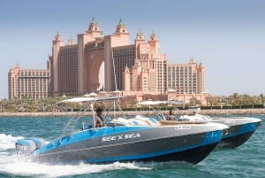 Dubaj: prywatny rejs łodzią po dzielnicy Dubai Marina i zwiedzanie wyspy Palma Jumeirah