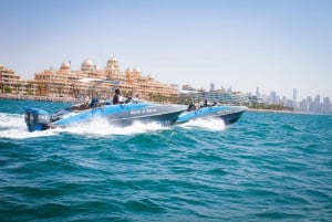 Dubai Marina: privéboottocht & sightseeing Palm Jumeirah
