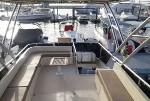 Dubai: Marina and Coastline Private Yacht Tour with Swimming