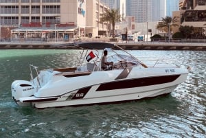 Dubai: jachthaven sightseeing en zwemcruise