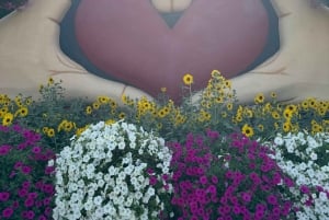 Dubái: visita al Miracle Garden con traslado de ida y vuelta