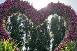 Dubái: visita al Miracle Garden con traslado de ida y vuelta